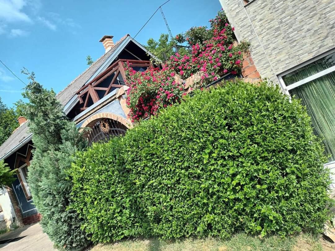 Apartman Vrdnicak Vrdnik Extérieur photo