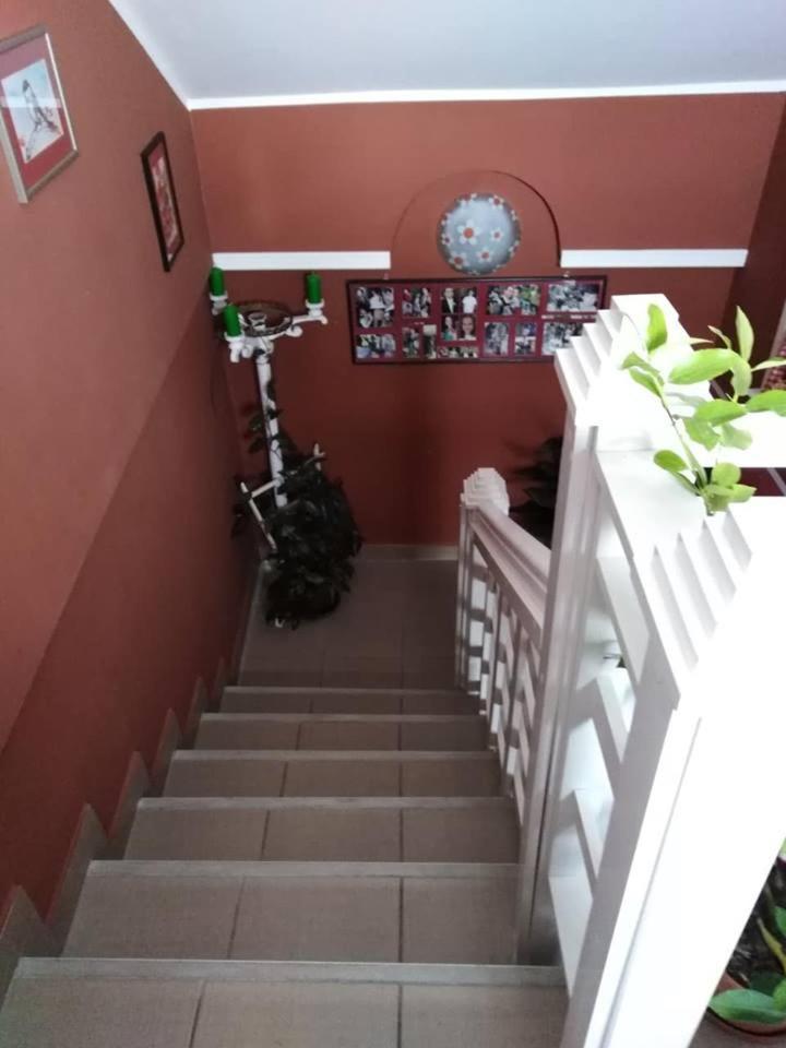 Apartman Vrdnicak Vrdnik Extérieur photo