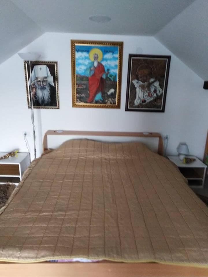 Apartman Vrdnicak Vrdnik Extérieur photo